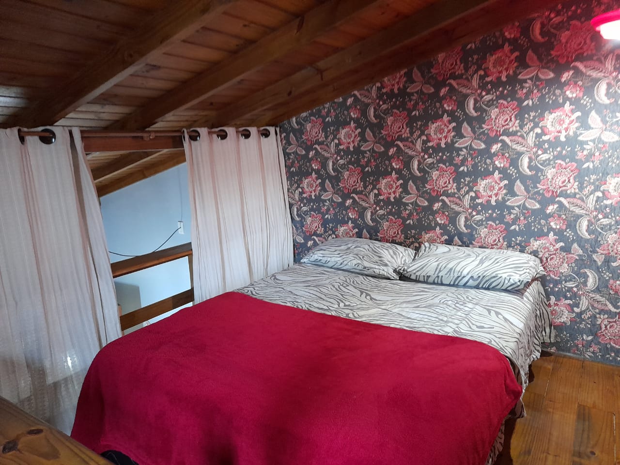 WhatsApp Image 2023-04-12 at 20.29.17 (1)