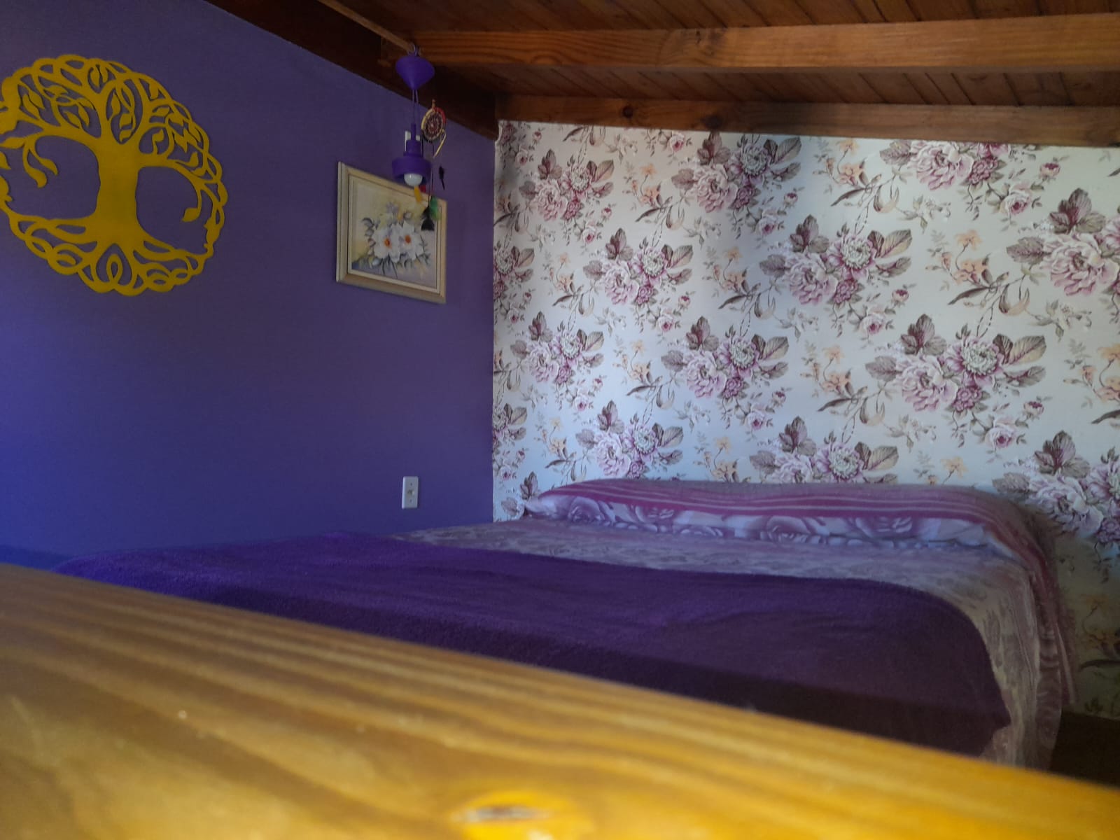 WhatsApp Image 2023-04-12 at 20.29.36